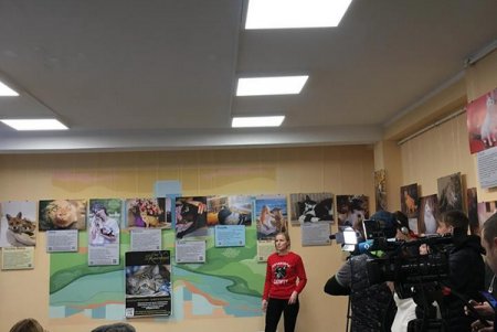 «Не за глаза, а за душу»: открытие фотовыставки, посвященной спасенным животным (фото)