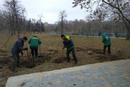 Коммунальщики продолжают работы по озеленению города (фото) 