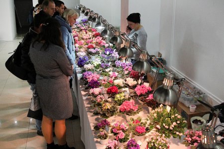 В Одессе проходит выставка фиалок и хищных растений (фоторепортаж) 