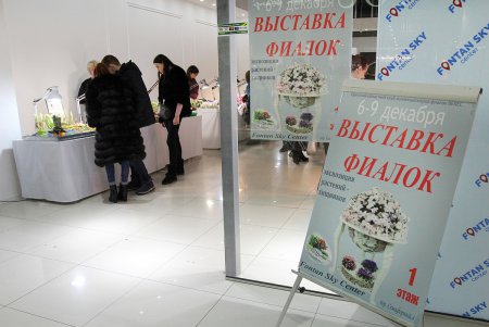 В Одессе проходит выставка фиалок и хищных растений (фоторепортаж) 