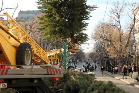 Как на Дерибасовской устанавливали новогоднюю елку (фоторепортаж)