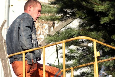 Как на Дерибасовской устанавливали новогоднюю елку (фоторепортаж)