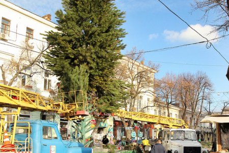 Как на Дерибасовской устанавливали новогоднюю елку (фоторепортаж)