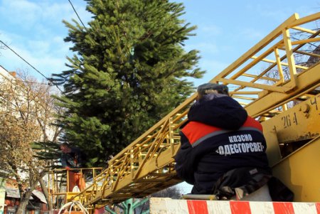 Как на Дерибасовской устанавливали новогоднюю елку (фоторепортаж)
