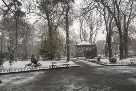 Одессу припорошило снегом (фоторепортаж)