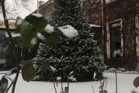 Одессу припорошило снегом (фоторепортаж)