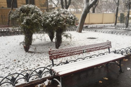 Одессу припорошило снегом (фоторепортаж)