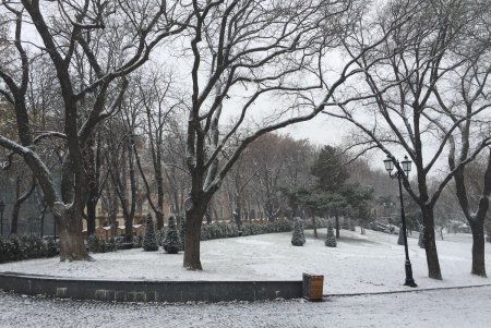 Одессу припорошило снегом (фоторепортаж)