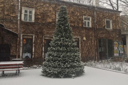Одессу припорошило снегом (фоторепортаж)