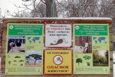 Одесситов просят в холода помогать замерзающим животным и птицам