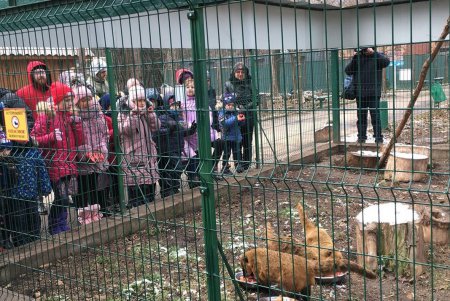 В Одесском зоопарке отпраздновали День Святого Николая (фото, видео)