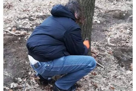 Вандалы вбили в деревья тысячи гвоздей: депутат одесского горсовета
