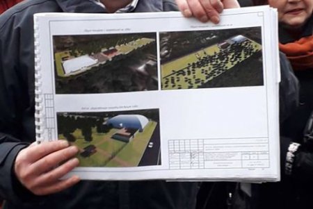 На месте будущего центра для собак деревья вырубать не будут - городские экологи