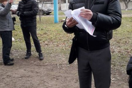 На месте будущего центра для собак деревья вырубать не будут - городские экологи