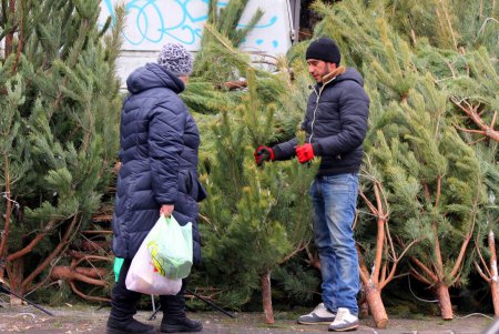 От 100 до 600 гривен: в Одессе открылись елочные базары (фоторепортаж)