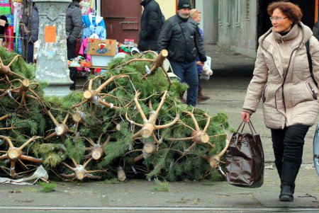 От 100 до 600 гривен: в Одессе открылись елочные базары (фоторепортаж)
