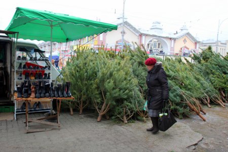 От 100 до 600 гривен: в Одессе открылись елочные базары (фоторепортаж)