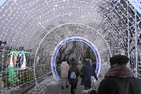 Огни главной новогодней елки города зажглись в День святого Николая (фоторепортаж)