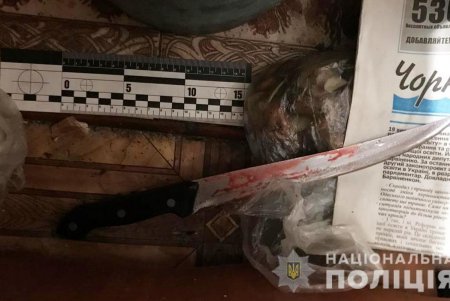 Пожизненное заключение: в Одесской области бытовой конфликт привел к убийству (фото, видео)