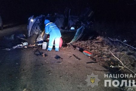 Авто вылетело в кювет: в Одесской области произошло смертельное ДТП (обновлено, фото)