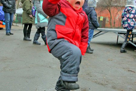 Новогодний праздник в зоопарке (фоторепортаж)