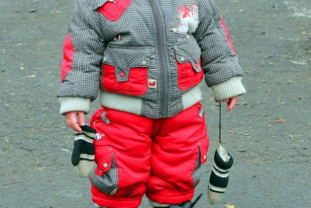 Новогодний праздник в зоопарке (фоторепортаж)