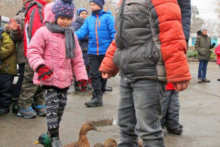 Новогодний праздник в зоопарке (фоторепортаж)