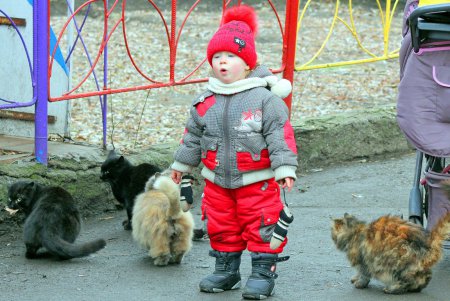 Новогодний праздник в зоопарке (фоторепортаж)