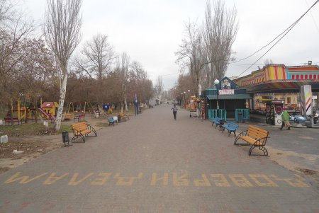 Зимняя Лузановка: чайки, коты и пустые кафешки (фоторепортаж)