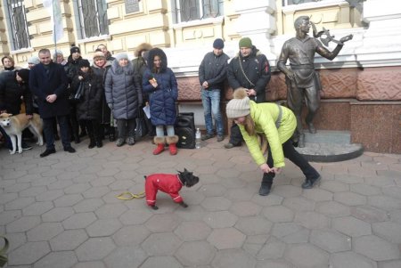 Одесситы митинговали перед зданием Нацполиции за строительство Догтауна (фото)