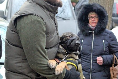 В Одессе владельцы собак и их питомцы провели акцию в поддержку строительства кинологического центра (фоторепортаж)