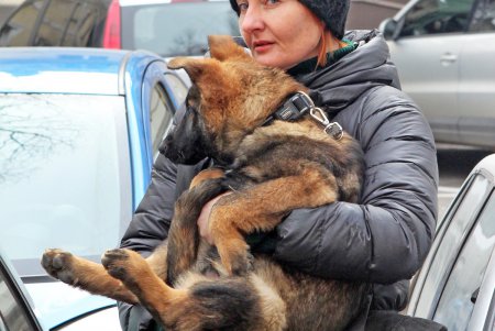 В Одессе владельцы собак и их питомцы провели акцию в поддержку строительства кинологического центра (фоторепортаж)