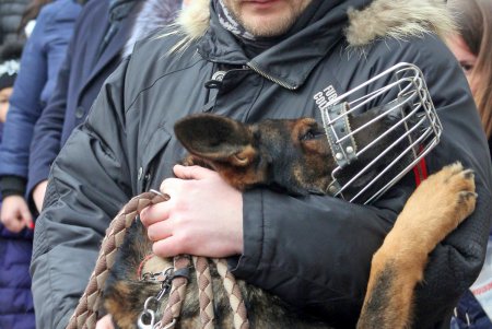 В Одессе владельцы собак и их питомцы провели акцию в поддержку строительства кинологического центра (фоторепортаж)