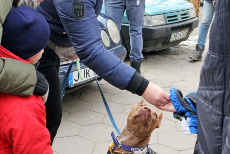 В Одессе владельцы собак и их питомцы провели акцию в поддержку строительства кинологического центра (фоторепортаж)