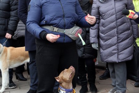 В Одессе владельцы собак и их питомцы провели акцию в поддержку строительства кинологического центра (фоторепортаж)