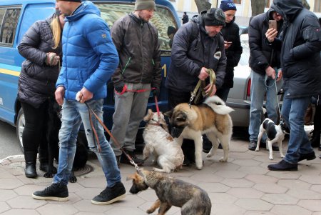В Одессе владельцы собак и их питомцы провели акцию в поддержку строительства кинологического центра (фоторепортаж)