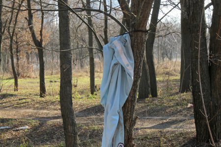 Мусор, могилы животных и бездомные: как выглядит Артиллерийский сквер (фоторепортаж)
