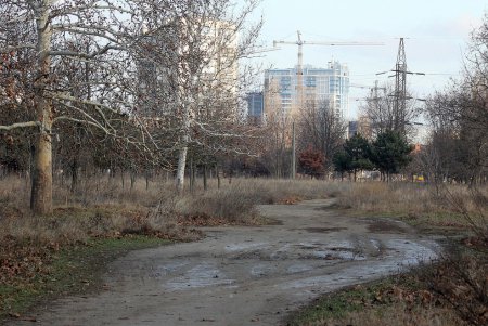 Мусор, могилы животных и бездомные: как выглядит Артиллерийский сквер (фоторепортаж)