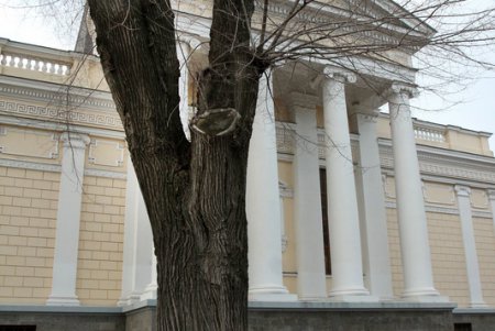 Прогулка по Соборной площади (фоторепортаж)