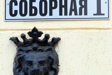 Коты дома Попудова (фоторепортаж)