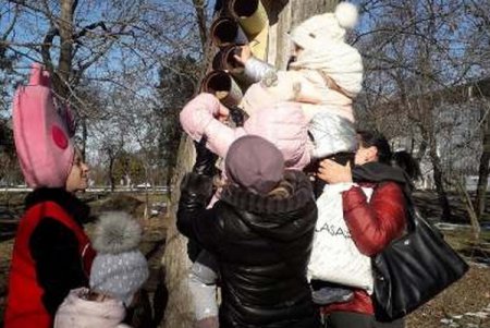 Жители Одессы развесили кормушки и накормили птиц в парке Шевченко