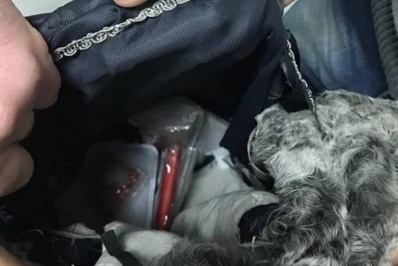 Прятал товар в шубе: пограничники задержали иностранца-контрабандиста (фото)