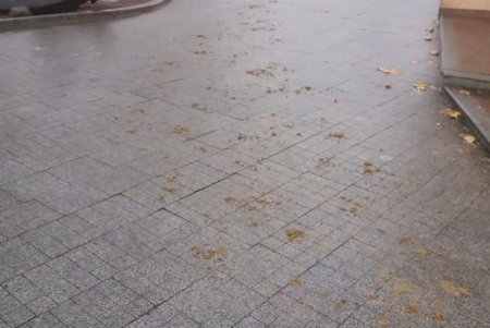 Одесские коммунальщики вышли на борьбу с гололедом (фото)