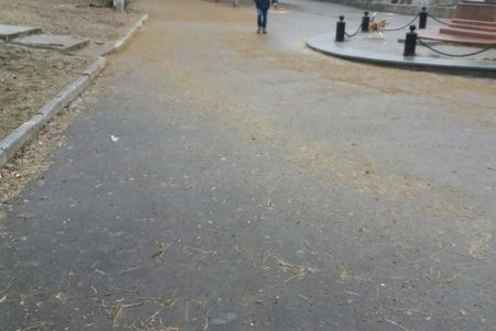 Одесские коммунальщики вышли на борьбу с гололедом (фото)