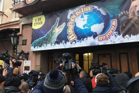 Животные - не клоуны: акция протеста у одесского цирка закончилось дракой (фото, видео)