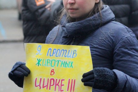 Акция протеста у одесского цирка (фоторепортаж)