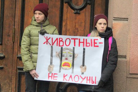Акция протеста у одесского цирка (фоторепортаж)