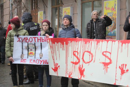 Акция протеста у одесского цирка (фоторепортаж)