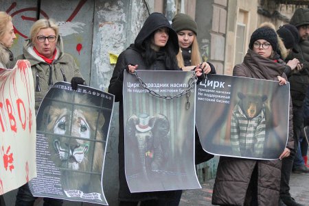 Акция протеста у одесского цирка (фоторепортаж)