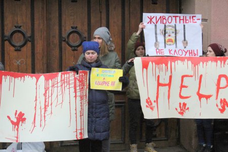 Акция протеста у одесского цирка (фоторепортаж)